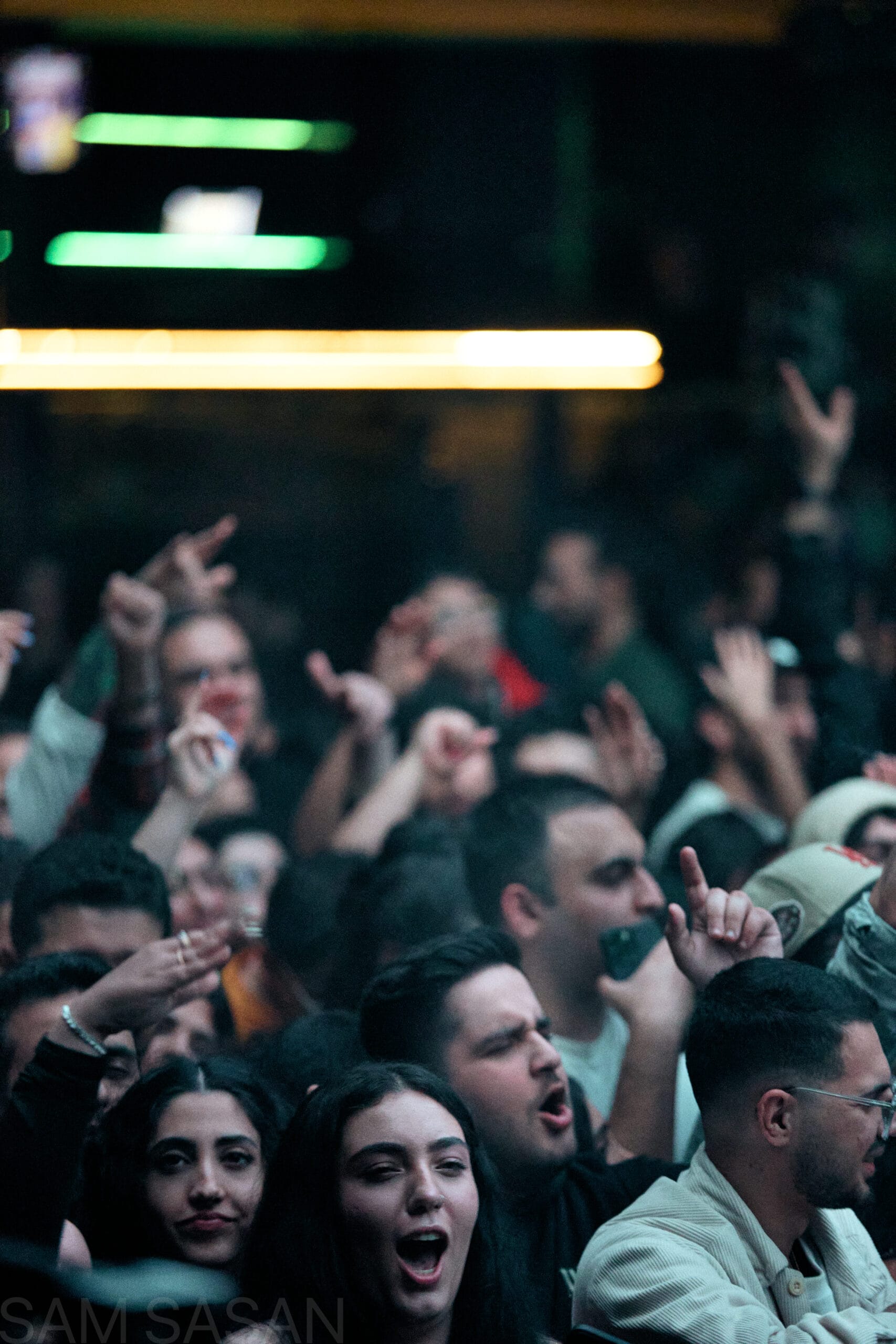Massive crowd singing along at live concert